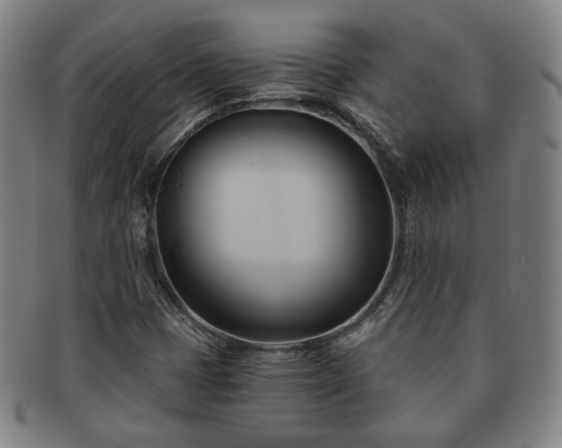 X0000091571401200708271147