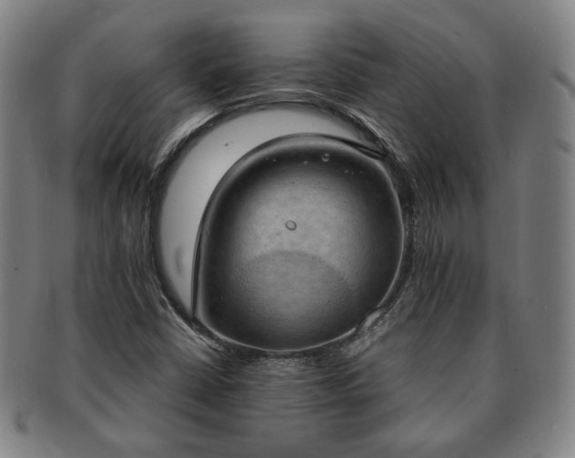 X0000091571402200708271147
