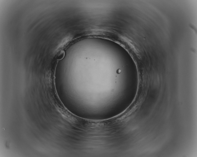 X0000091571403200708271147