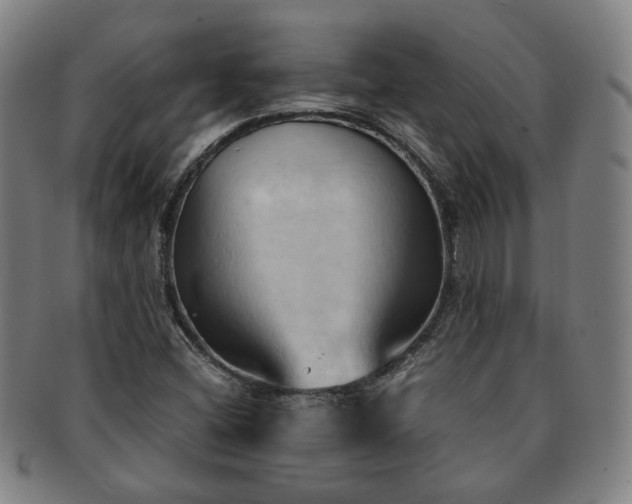 X0000091571404200708271147