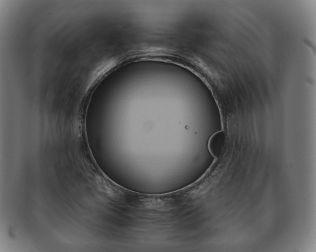 X0000091571405200708271147