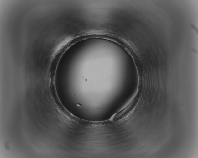X0000091571406200708271147