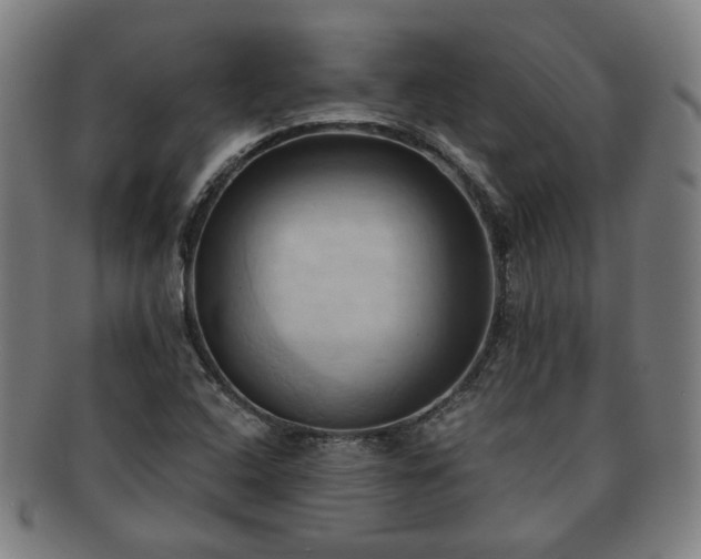 X0000091571408200708271147