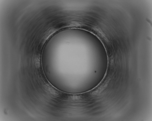 X0000091571409200708271147
