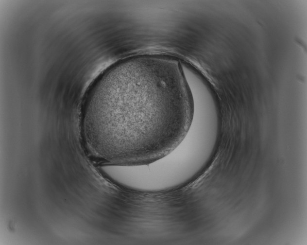 X0000091571410200708271147