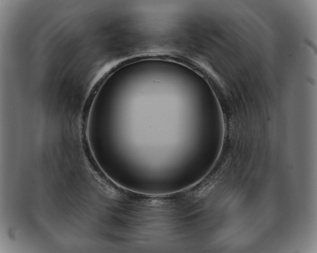 X0000091571412200708271147