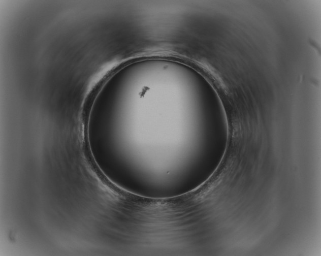 X0000091571414200708271147