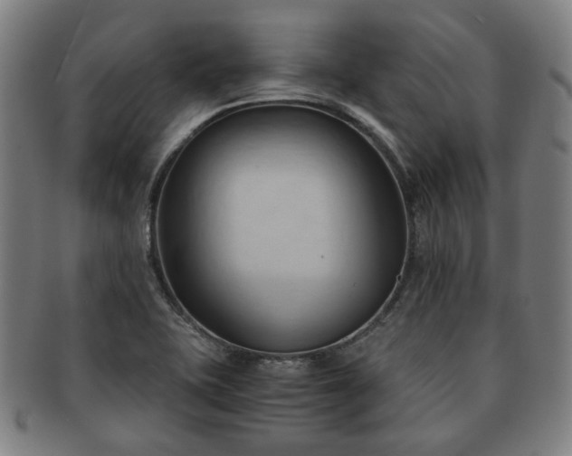X0000091571415200708271147