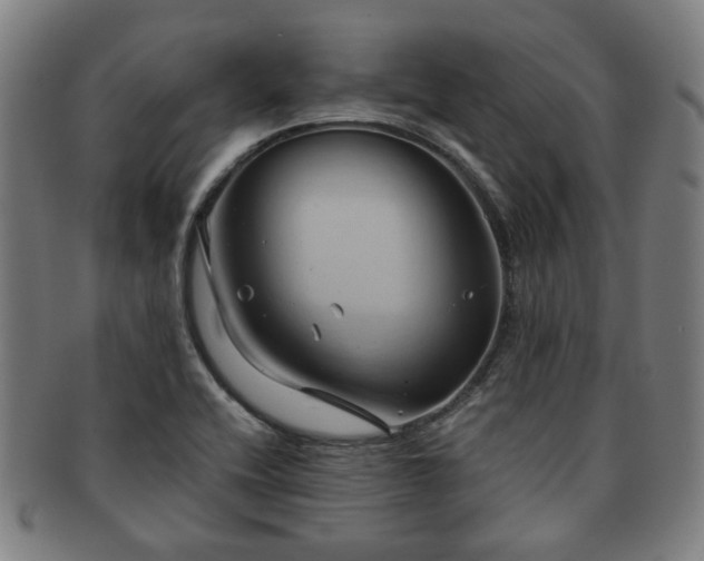 X0000091571416200708271147