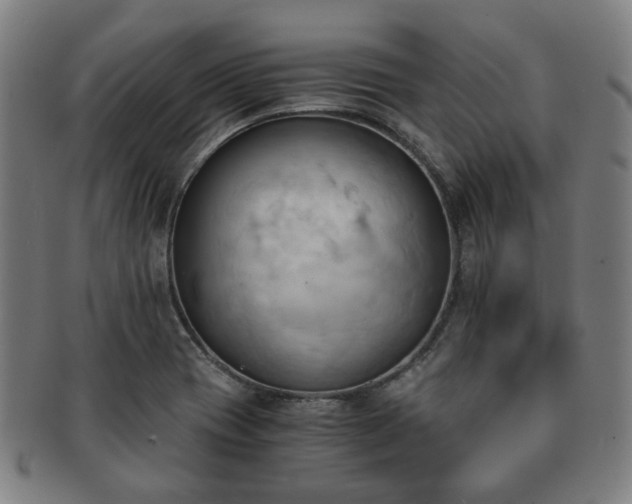 X0000091571417200708271147