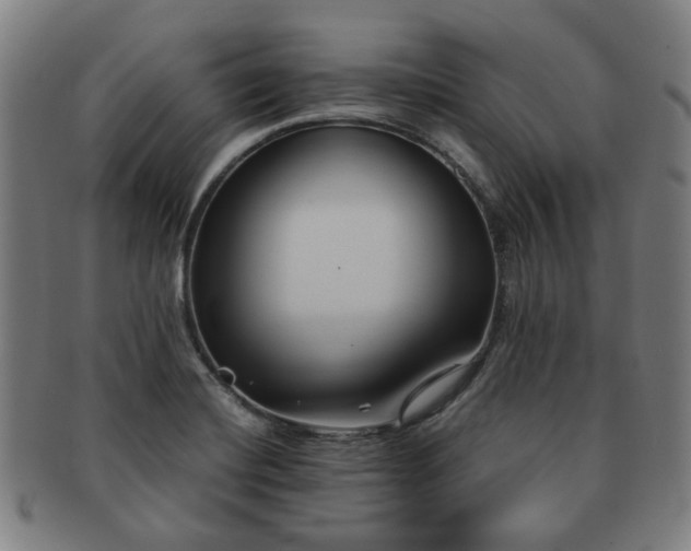 X0000091571420200708271148