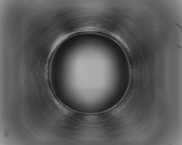 X0000091571421200708271148