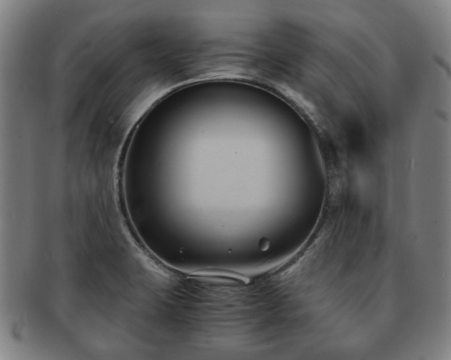 X0000091571423200708271148