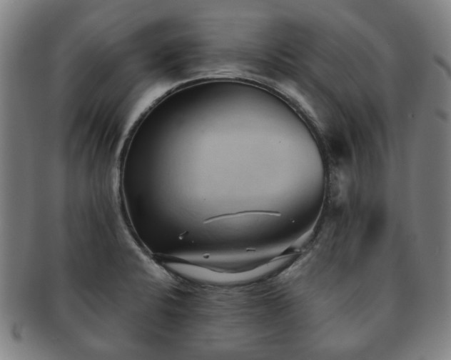 X0000091571424200708271148