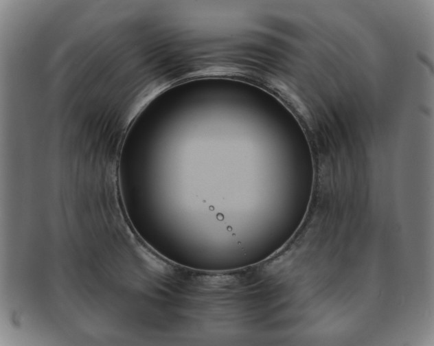 X0000091571425200708271148