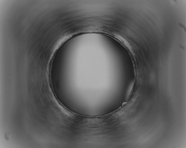 X0000091571429200708271148