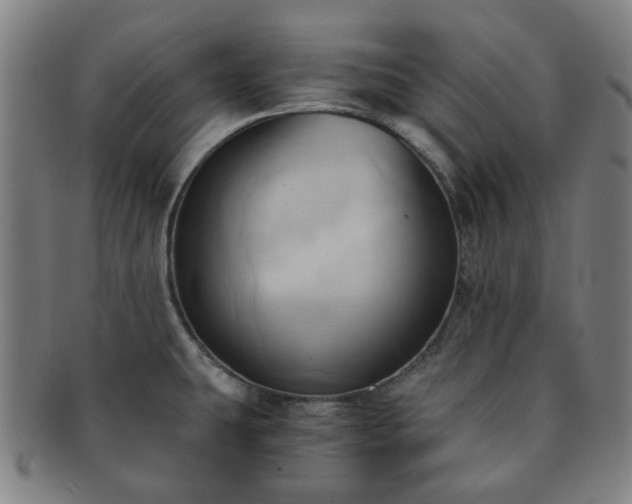 X0000091571431200708271148