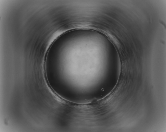 X0000091571432200708271148