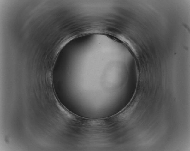 X0000091571433200708271148