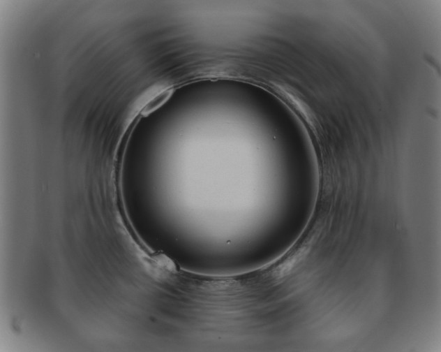 X0000091571434200708271148