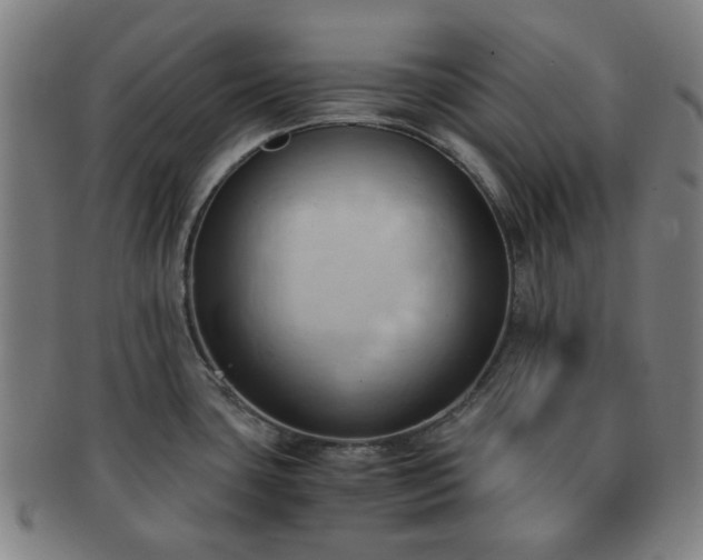 X0000091571435200708271148