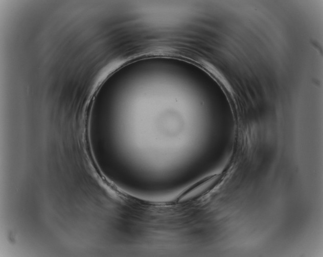 X0000091571437200708271148