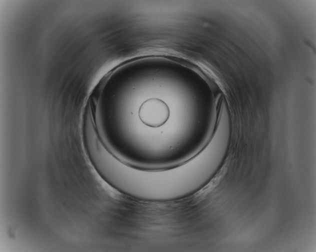 X0000091571438200708271148