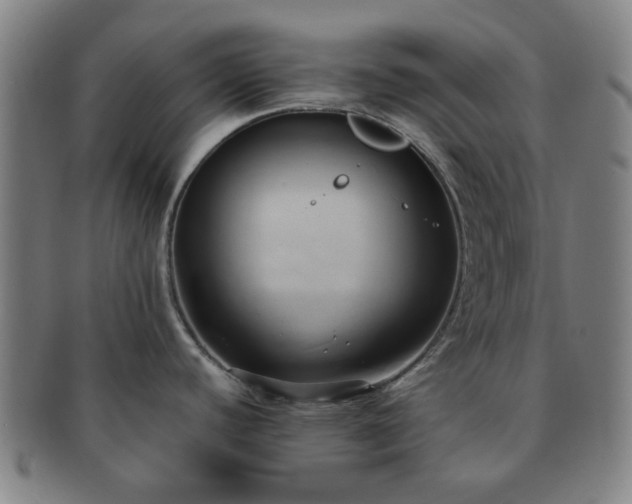 X0000091571440200708271148