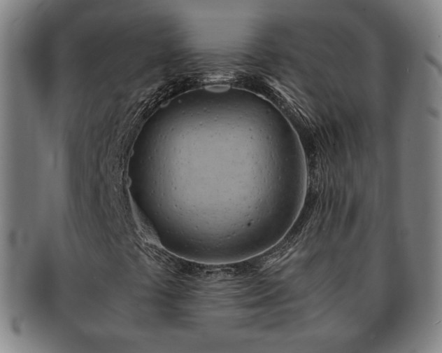 X0000091571441200708271147
