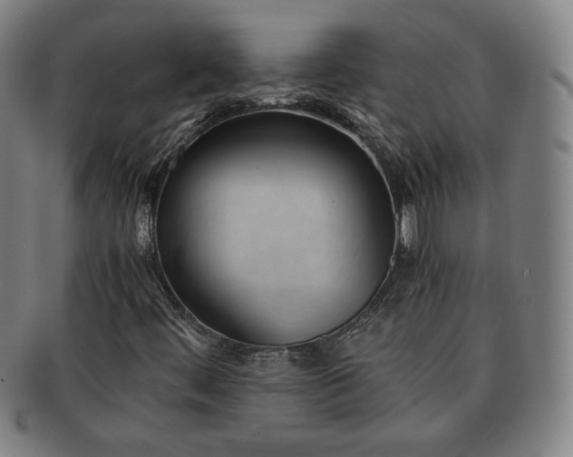 X0000091571444200708271147