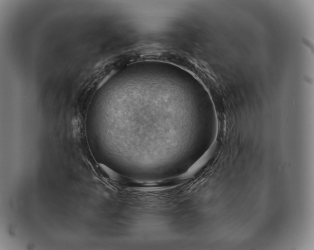 X0000091571445200708271147