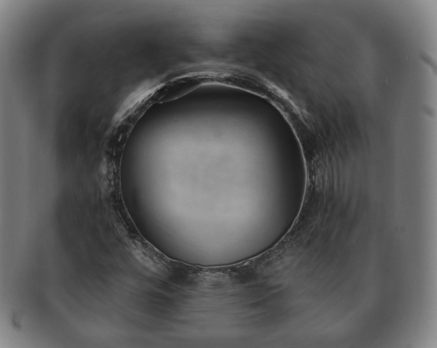 X0000091571448200708271147