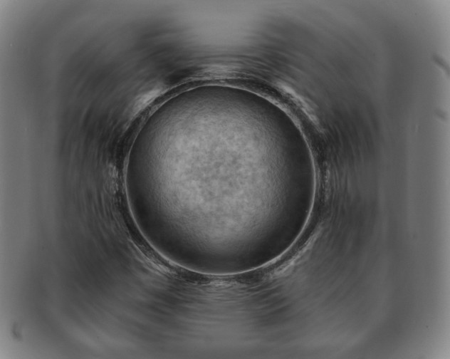 X0000091571449200708271147