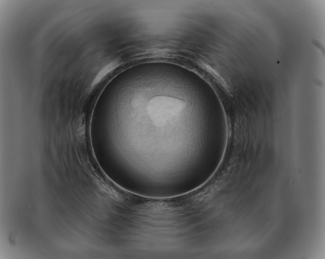 X0000091571450200708271147