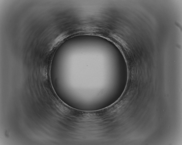 X0000091571451200708271147