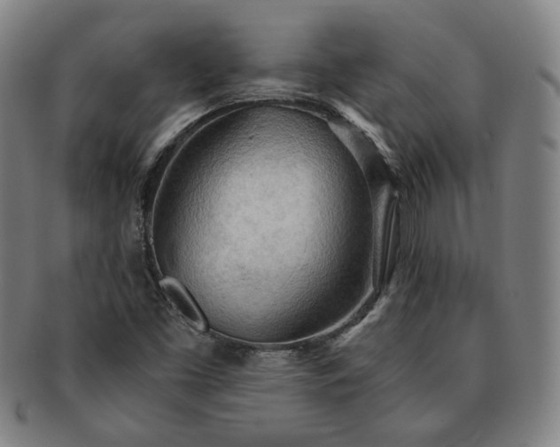 X0000091571453200708271147