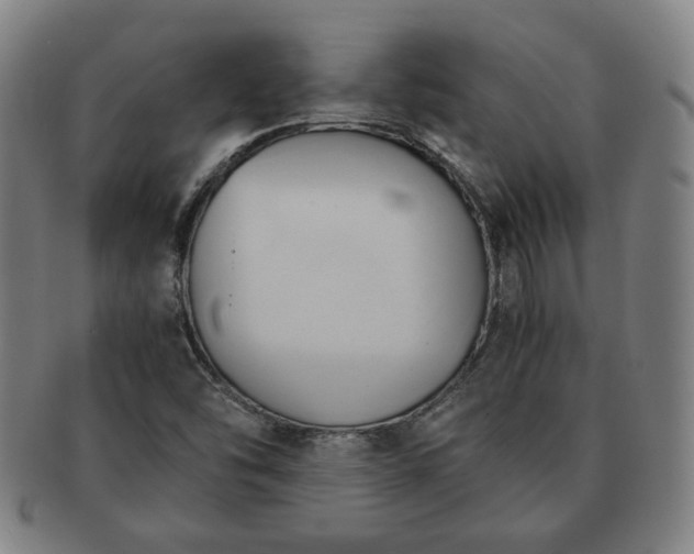 X0000091571454200708271147