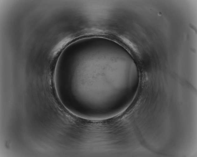 X0000091571455200708271147
