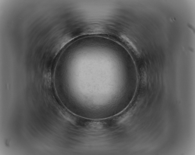 X0000091571457200708271147