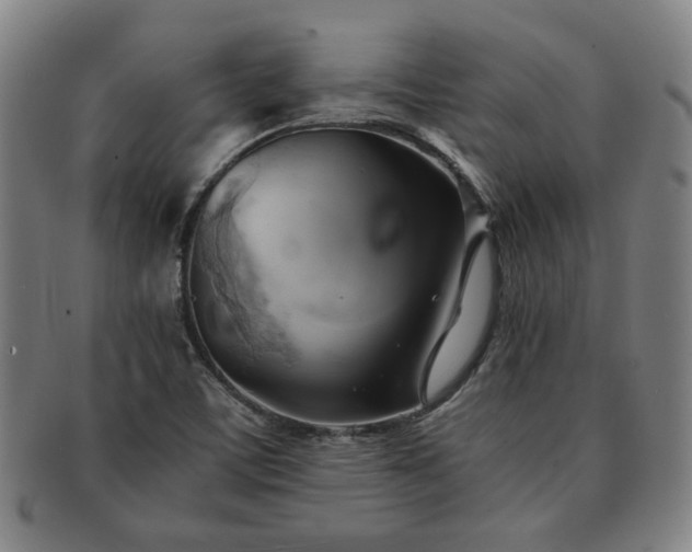 X0000091571459200708271147