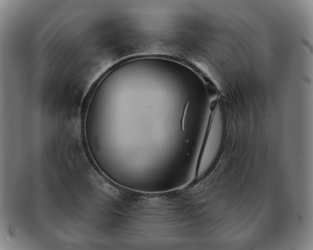 X0000091571460200708271147