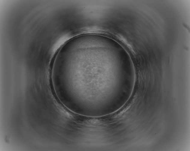 X0000091571463200708271147