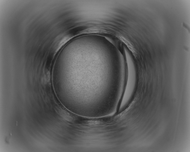 X0000091571465200708271147