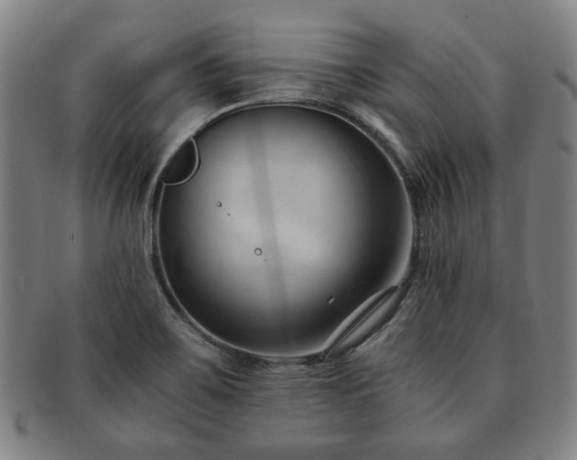 X0000091571467200708271147