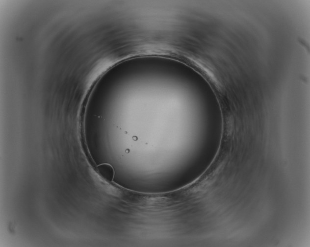 X0000091571471200708271146