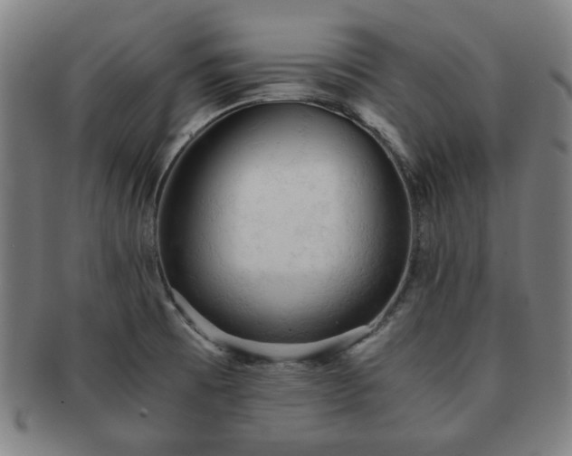 X0000091571473200708271146