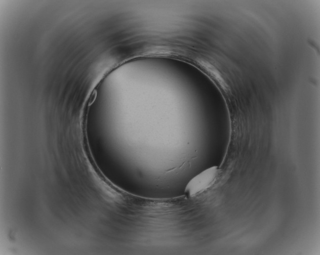X0000091571475200708271146