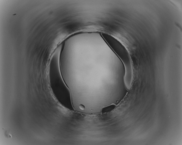 X0000091571477200708271146