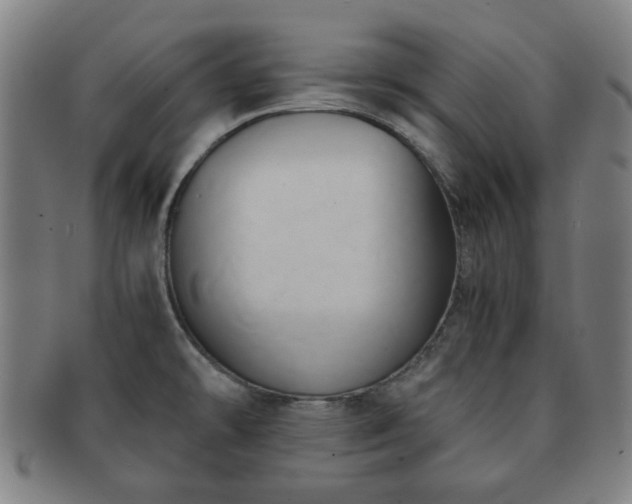 X0000091571478200708271146