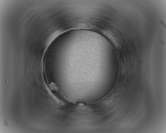 X0000091571479200708271146